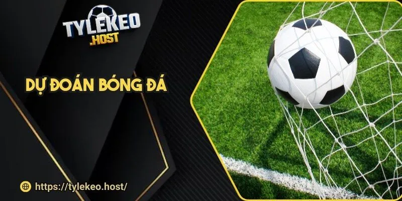 du doan bong da