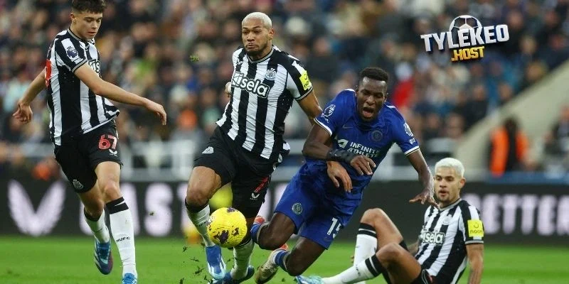 Tình hình Newcastle United vs Chelsea