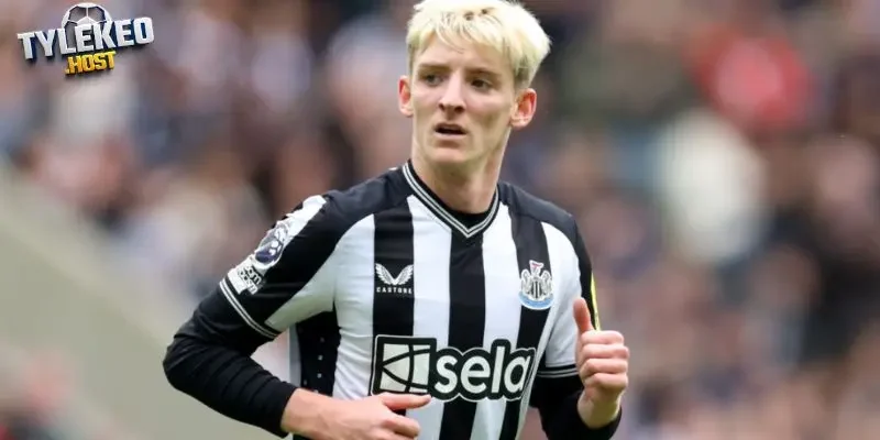 Anthony Michael Gordon hiện thi đấu cho Newcastle Gordon