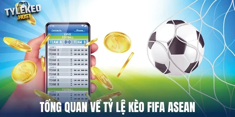 Tổng quan về tỷ lệ kèo FIFA Asean